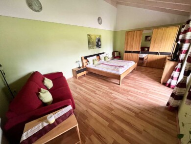 Wohn- und Schlafzimmer